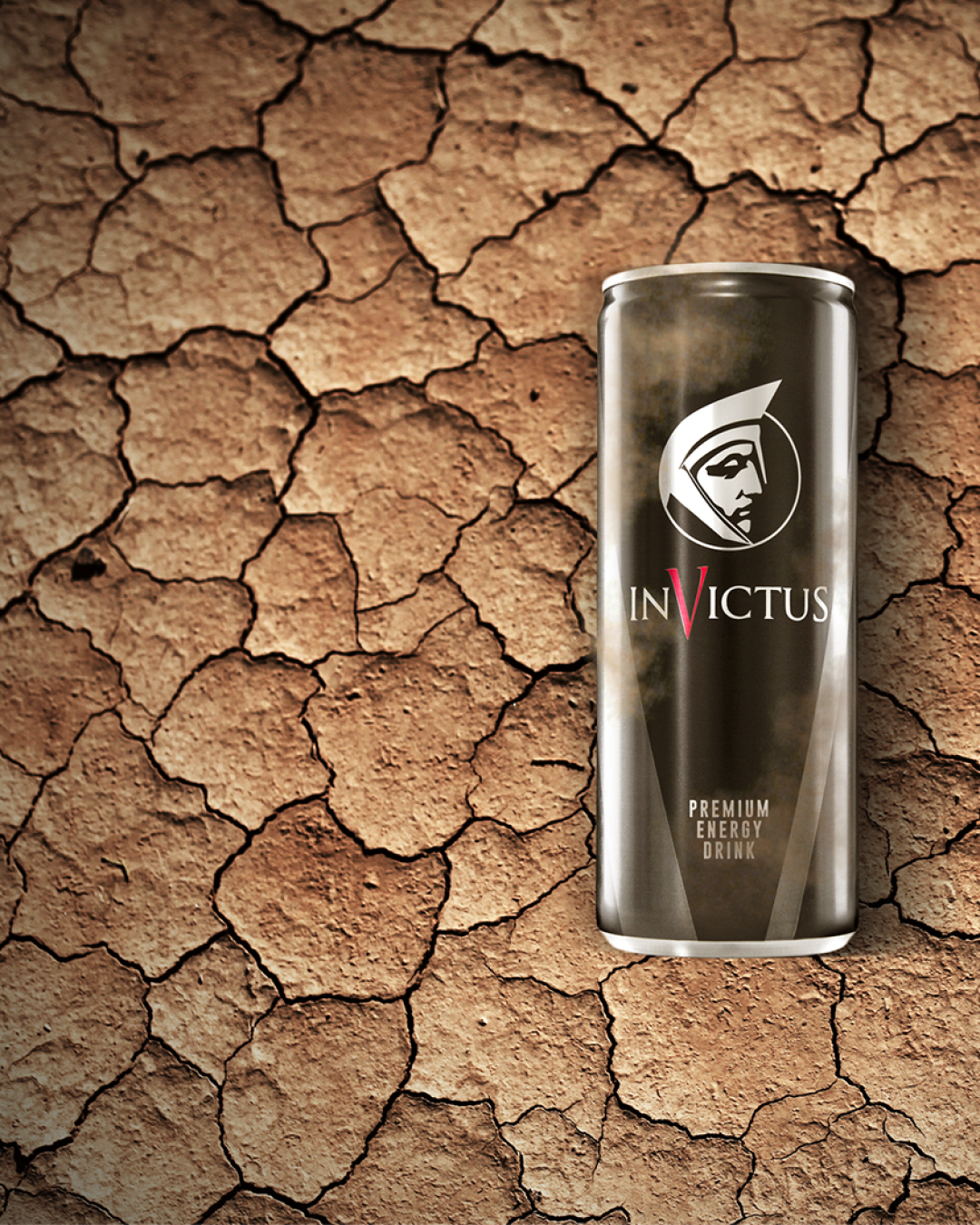 Invictus 3x2 copy